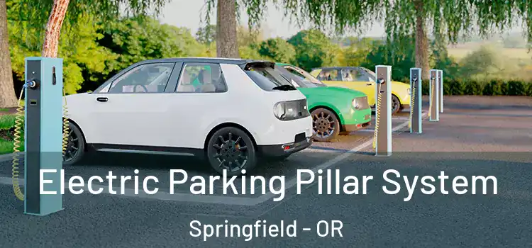 Electric Parking Pillar System Springfield - OR