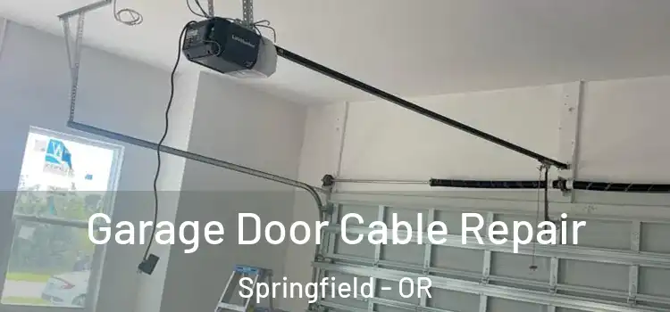  Garage Door Cable Repair Springfield - OR
