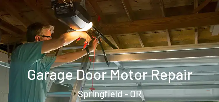  Garage Door Motor Repair Springfield - OR
