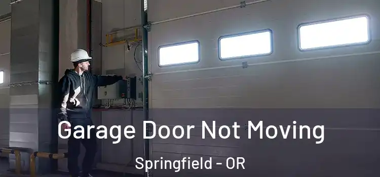  Garage Door Not Moving Springfield - OR