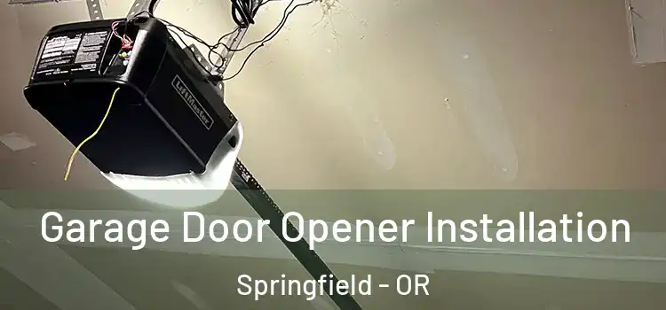  Garage Door Opener Installation Springfield - OR
