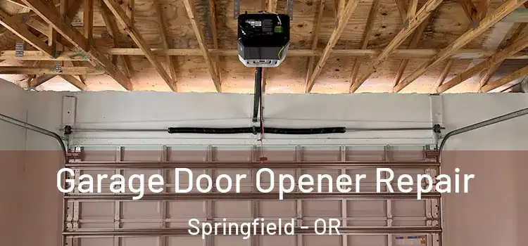  Garage Door Opener Repair Springfield - OR
