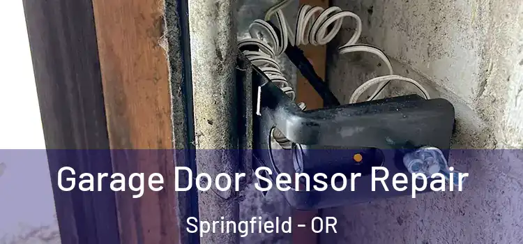 Garage Door Sensor Repair Springfield - OR