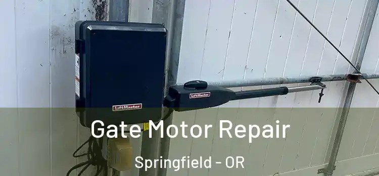 Gate Motor Repair Springfield - OR