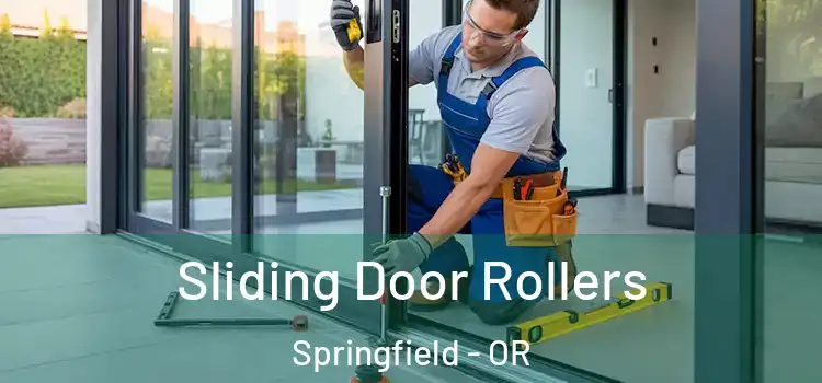 Sliding Door Rollers Springfield - OR