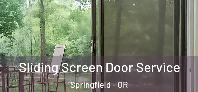 Sliding Screen Door Service Springfield - OR